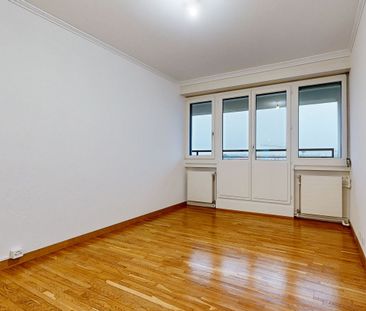 Superbe appartement proche du Parc Geisendorf - Foto 2