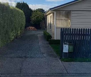 Hard to Find - Photo 4