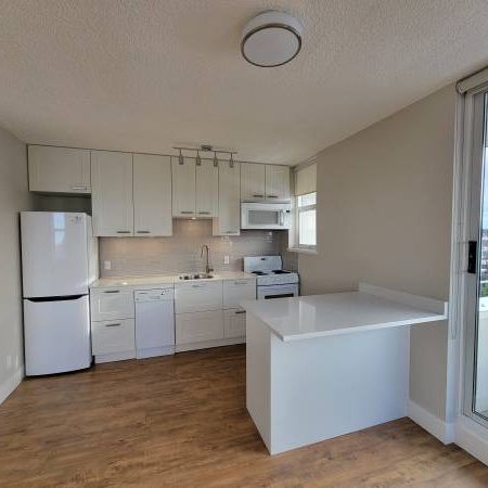 Pet Friendly 1 Bedroom With Laundry In Mount Pleasant - Photo 4