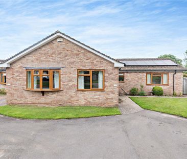 Exceptionally spacious bungalow in a quiet cul de sac in popular Ba... - Photo 2