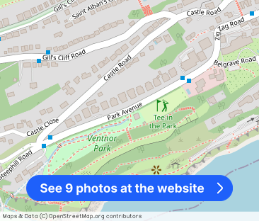 Park Avenue Ventnor PO38 - Photo 1