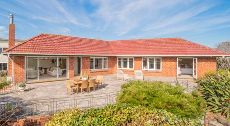 Lifestyle Property in Central Auckland - Photo 2