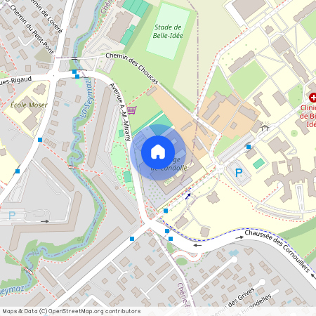 1225, Chêne-Bourg, Avenue A.-M.- Mirany, 2