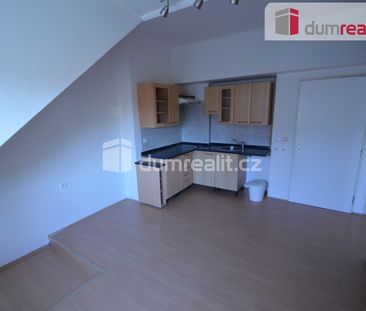 Pronájem bytu 1+1 43 m², Nová Šárka 468, Praha Liboc - Photo 4