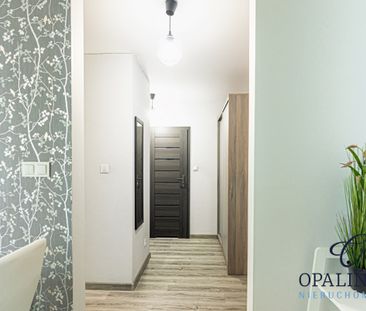 Ogródek | Parter | 40,19 m2 | Garaż | Od zaraz - Photo 2