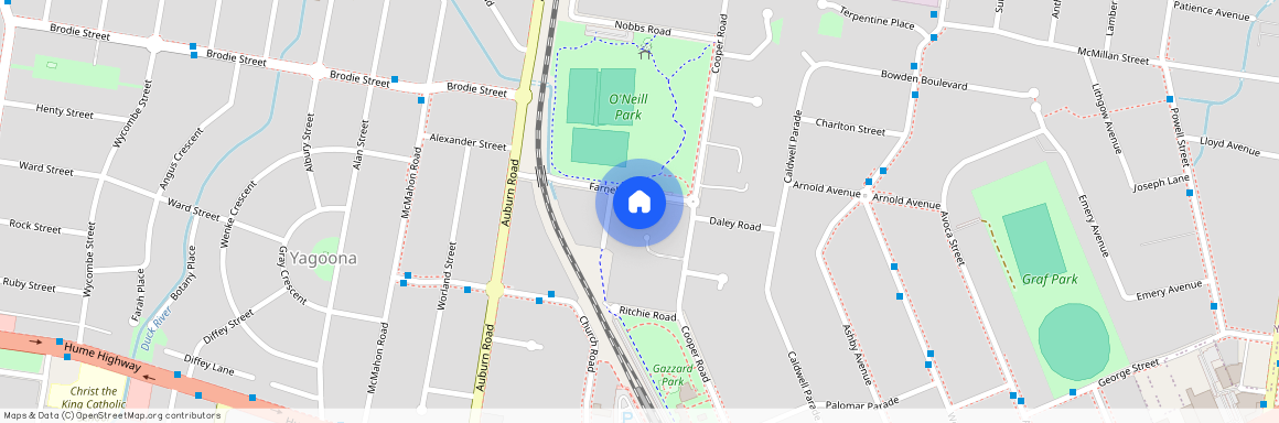 14 Farnell Rd, NSW 2199, Yagoona