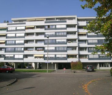 Grosszügige 2.5- ZWG in der schönen Gemeinde Reinach! - Foto 6