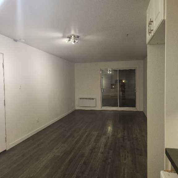 4 1/2 avec 2 chambres. Chat accepté - Photo 1