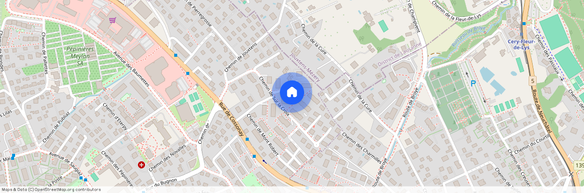 1020, Renens VD, Chemin De Mont Robert, 19