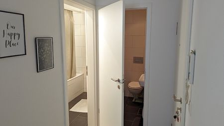 4½ Zimmer-Wohnung in Allschwil (BL), möbliert, auf Zeit - Foto 5