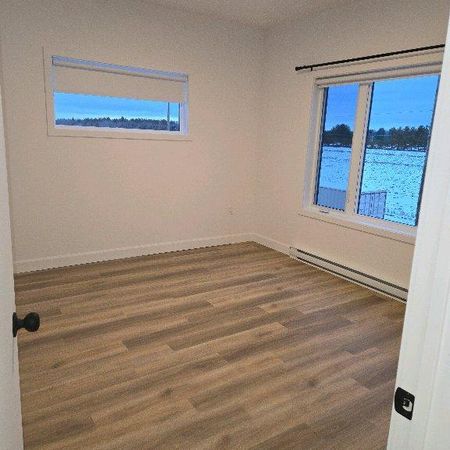 4 1/2 animaux acceptés - Photo 4