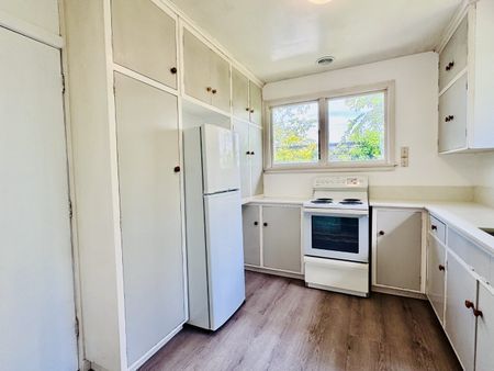 12 Lothian Street, Ilam - Photo 2