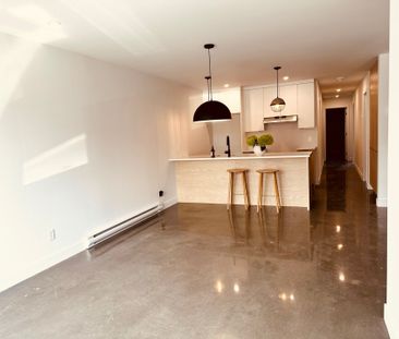 Appartement - 513 Rue St-Henri - Photo 4
