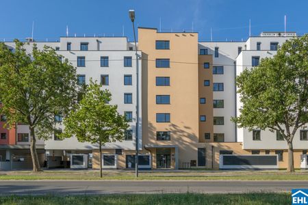 DER BALLON - Ankommen und abheben - NATURNAHES WOHNEN NAHE DER SEESTADT ASPERN - Photo 3