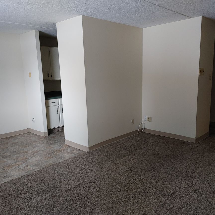 APT 12-51 ROBINSON - Photo 1