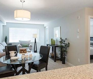 1/BD 1/BA, Located in Nanaimo, Stove - Photo 3