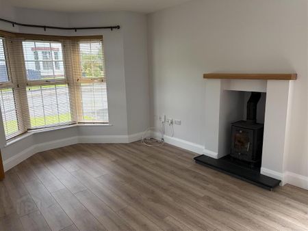 24 Springhill Meadows, Ballyclare, BT39 9LD - Photo 2