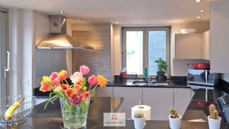 Prachtig BEMEUBELD dakappartement met terras vlakbij Zuid - Photo 3