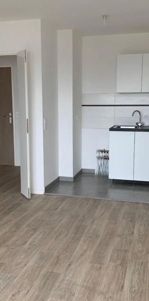 Appartement à louer 2 pièces 43.4m² - Photo 1