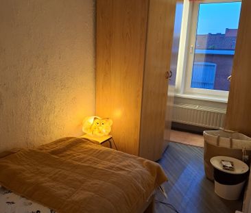 kot - Foto 1