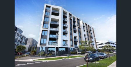 Modern two-Bedroom Apartment in the Heart of Williams Landing! - Photo 5