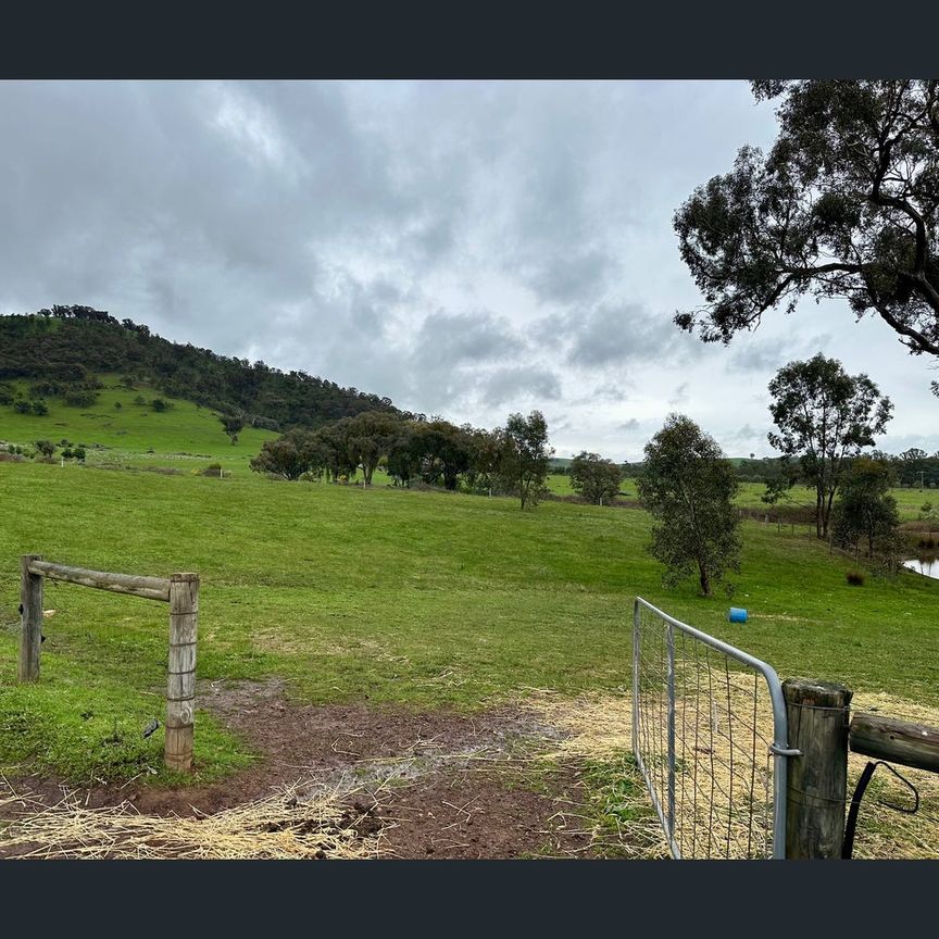 830 Upper Goulburn Road, Tallarook, Vic 3659 - Photo 1