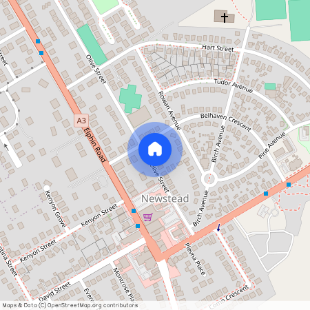 73 Olive St, Tas 7250, Newstead