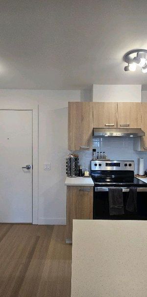 5 1/2 neuf 2024- Gym, piscine, internet & Électros inclus - Cession de bail - Photo 1