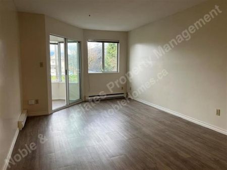 1567 East Broadway 205 Vancouver - Photo 3