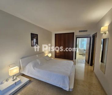 Chalet en alquiler en Sol de Mallorca-Portals Vells - Foto 6