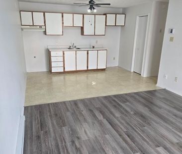 🏡Beau 4 ½ à louer pour août 2026!! - Photo 2