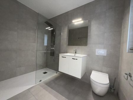 4 MAGNIFIQUES NOUVELLES VILLAS AU BOUVERET TERRASSE ET JARDIN 1 ER LOYER GRATUIT - Photo 3