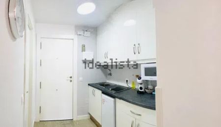 Alquiler de estudio en Parque de la Paloma - Photo 3