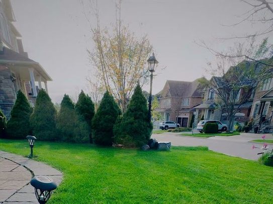 For Lease - 936 Goring Circle, Newmarket, Ontario - Photo 1