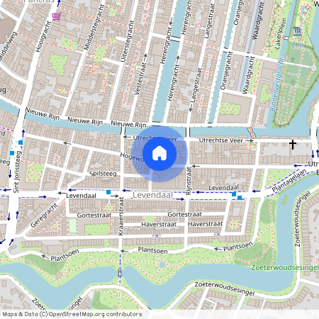 120, Hogewoerd, Levendaal, Leiden, Zuid-Holland, Nederland, 2311 HT