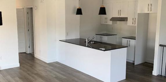 Superbe logement 7 1/2 à St-Nicolas, 1er étage, climatisé, 2 STATIONNEMENTS EXTÉRIEURS INCLUS, LIBRE LE 1ier février 2026. - Photo 2