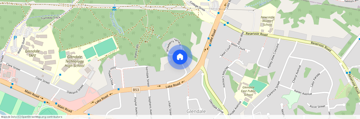 1 Strawberry Terrace, Glendale NSW 2285