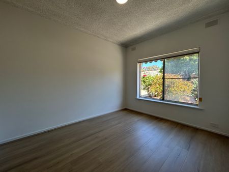 Renovated Ground Floor Unit - Photo 5