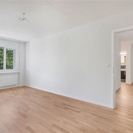 3.5 Zimmer, EG - Photo 1