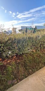 Location Appartement 1 pièce 33m² AGEN 47000 - Photo 4