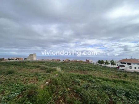 Los Realejos - Photo 3