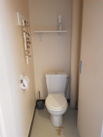 Location Appartement 1 pièce 32m² LYON 7ème - Photo 3