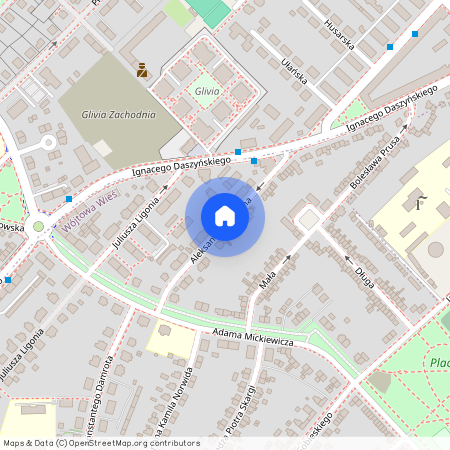 ul. Aleksandra Puszkina, Wójtowa Wieś, Gliwice, śląskie