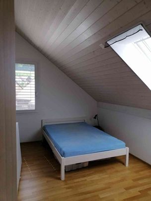 2.5 Zimmer, 57 m², 2. Stock - Foto 1