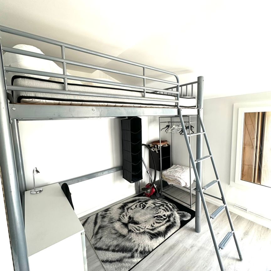 Location Appartement 1 pièce 16m² TOULOUSE 31400 - Photo 1