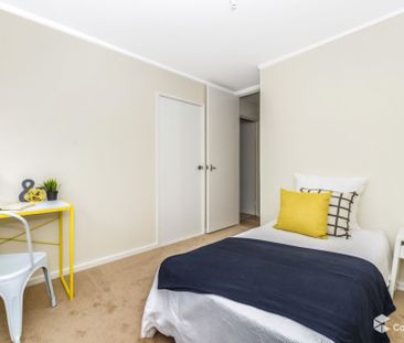 84 Serpentine Street, Duffy ACT 2611 - House For Rent | Domain - Photo 5