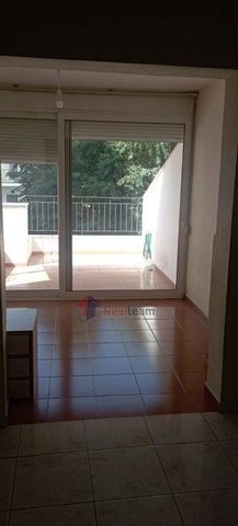Διαμέρισμα για ενοικίαση Επτά Πλατάνια - Οξυγόνο (Βόλος) - Φωτογραφία 5