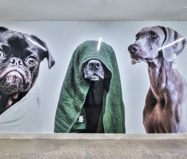 Story of Rideau & Chapel - Photo 4