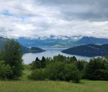 Gemütliches 1-Zimmer-Studio mit Blick ins GrüneRigi Kaltbad - Foto 4
