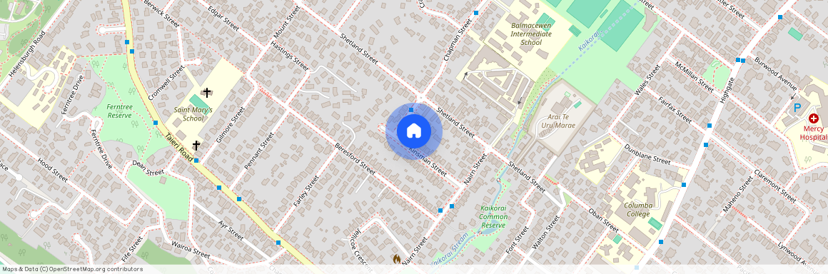 22 Kinsman Street, Kaikorai, Dunedin City